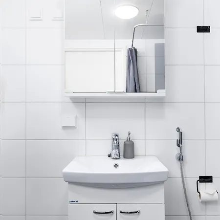 Apartman Valoisa Parvekkeella Ja Jaervinaekoealalla Hämeenlinna